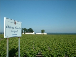 Chateau Sauternes 1