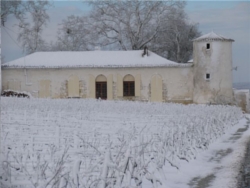 Chateau Sauternes 1