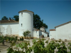 Chateau Sauternes 1